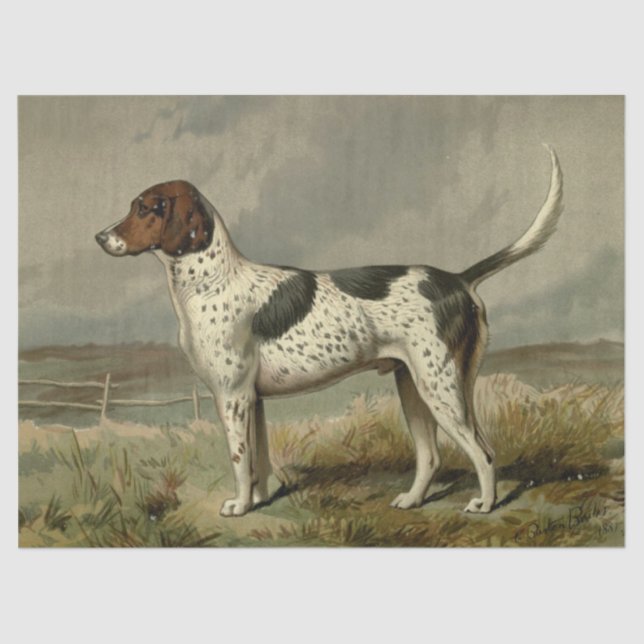 Mousseline Papier Tissu Foxhound vintage (Recto)