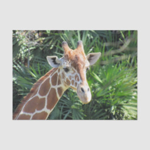 Mousseline Papier Tissu Giraffe