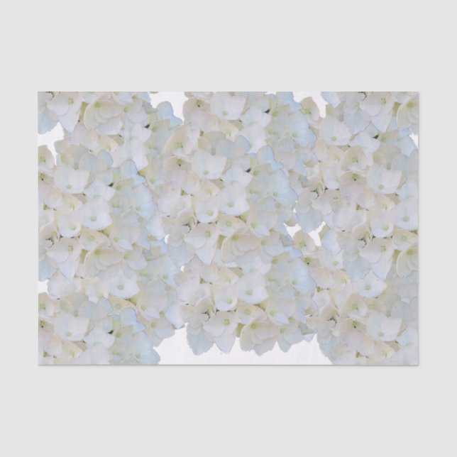 Mousseline Papier Tissu Hydrangeas Blanches (Recto)
