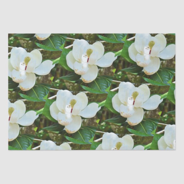 Mousseline Papier Tissu Magnolia Blossoms (Recto)