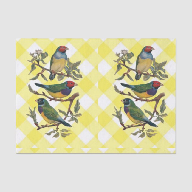 Mousseline Papier Tissu Oiseau Jaune Plaid (Recto)