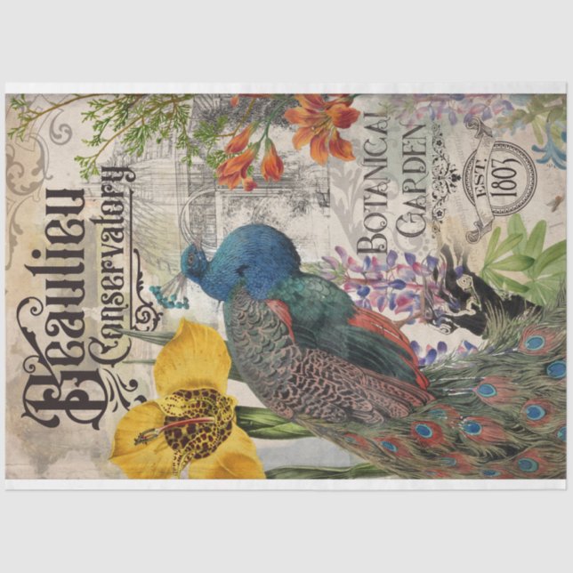 Mousseline Papier Tissu Peacock vintage (Recto)