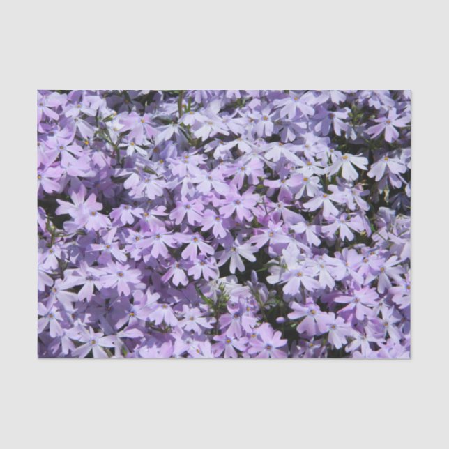 Mousseline Papier Tissu Purple Phlox (Recto)