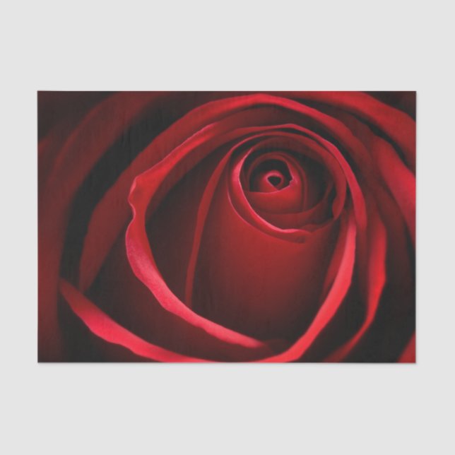 Mousseline Papier Tissu Red Rose Custom 10lb, blanc (Recto)