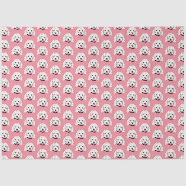 Mousseline Papier Tissu Rose Pis Fille Maltais Blanc (Recto)