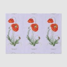 PAPIER TISSU ROUGE POPPER LAVENDER