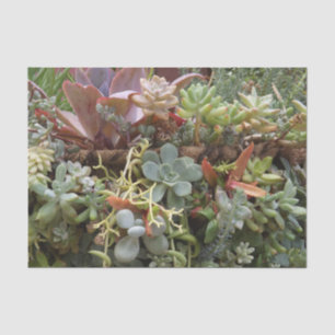 Mousseline Papier Tissu Succulent