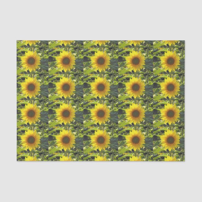 Mousseline Papier Tissu Sunny Gold (Recto)