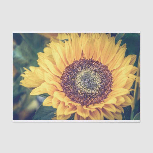 Mousseline Papier Tissu Tournesol (Recto)
