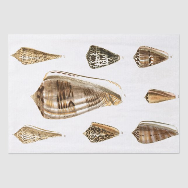 Mousseline Papier Tissu vintage (Recto)