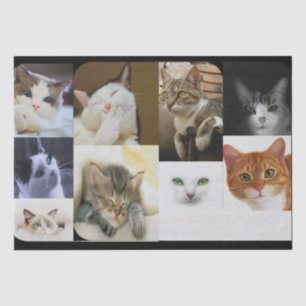 Mousseline Papier tissulaire Amoureux des chats