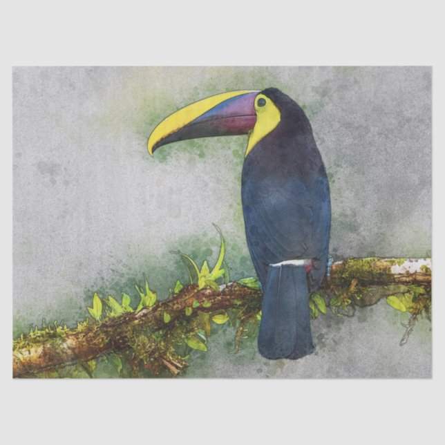 Mousseline papier tissulaire tucan (Recto)
