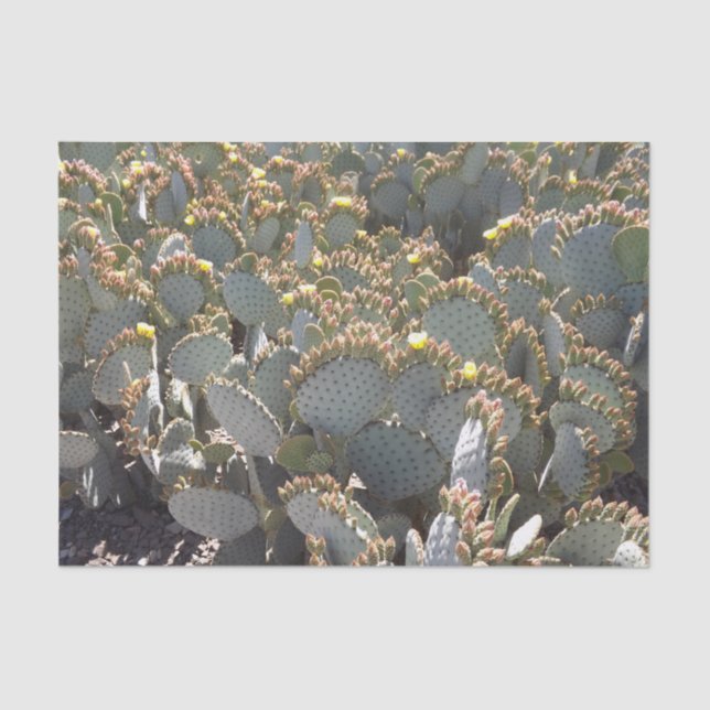 Mousseline Papier Tissus Cactus (Recto)