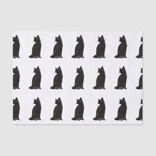 Mousseline Papier Tissus de chat noir (Recto)