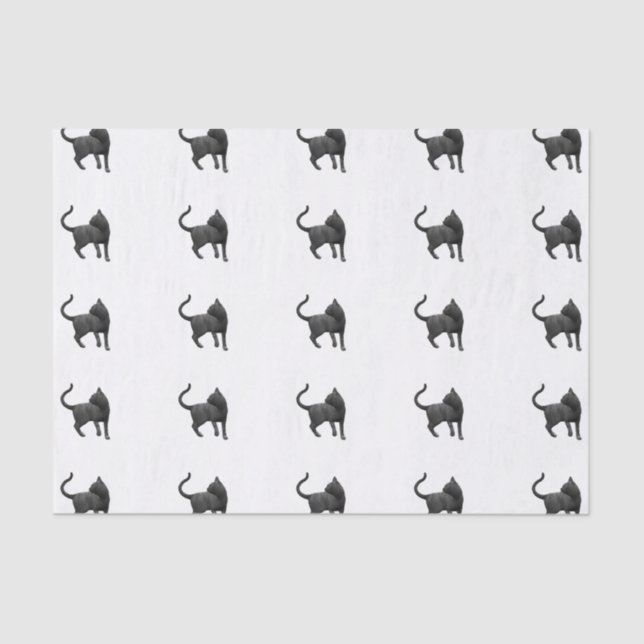 Mousseline Papier Tissus de chat noir (Recto)