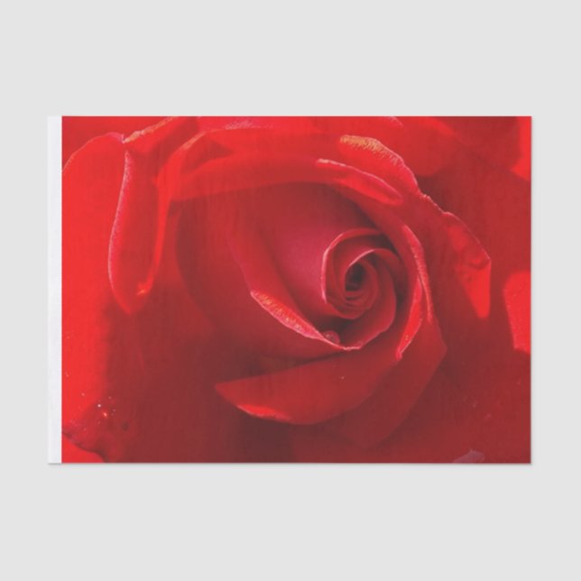 Mousseline Papier Tissus Red Rose (Recto)