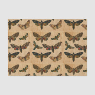 Mousseline Papillons noirs Vintage papier coloré Découpage