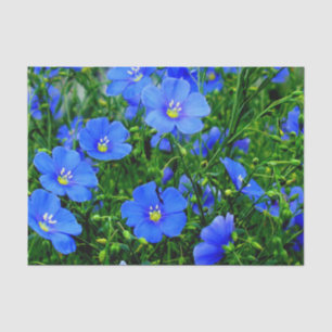 Mousseline Patch de Fleurs en lin bleu-TISSUE PAPIER WRAP
