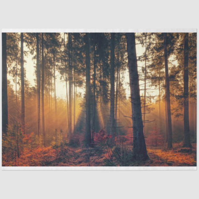 Mousseline Paysage forestier 18 Feuillet de papier de découpa (Recto)