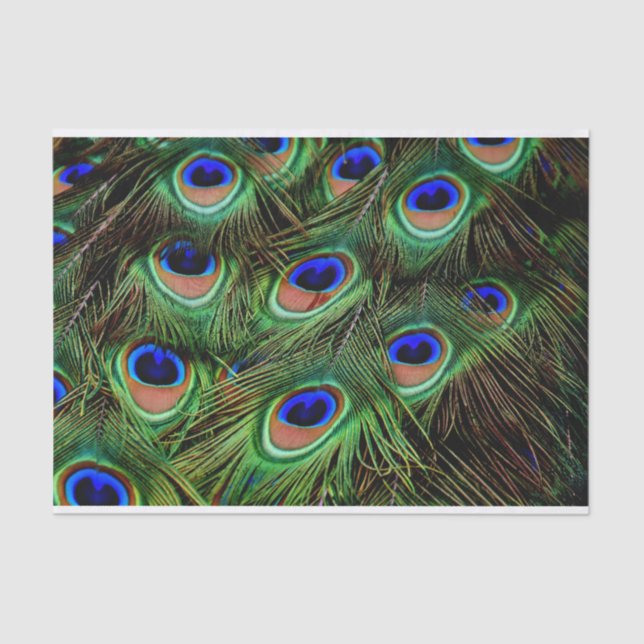 Mousseline Peacock Feathers Decoupage Tissu Papier (Recto)