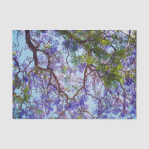 Mousseline Peinture à l'huile de Jacaranda violet, papier de 