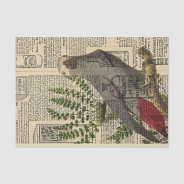 Mousseline Perroquet au papier journal vintage (Recto)