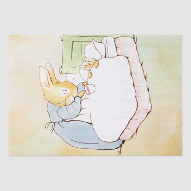Mousseline Peter Rabbit 4 Papier Tissu (Recto)