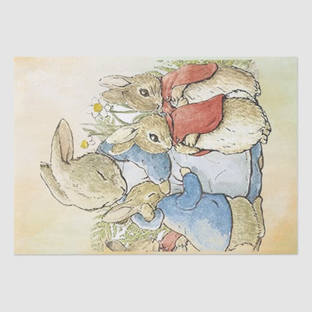 Mousseline Peter Rabbit 8 Papier de tissus (Recto)