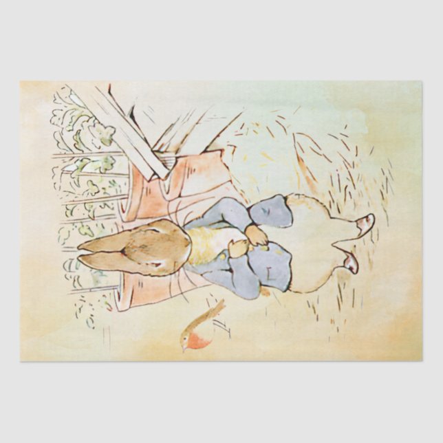 Mousseline Peter Rabbit (oiseau) Tissu Papier (Recto)