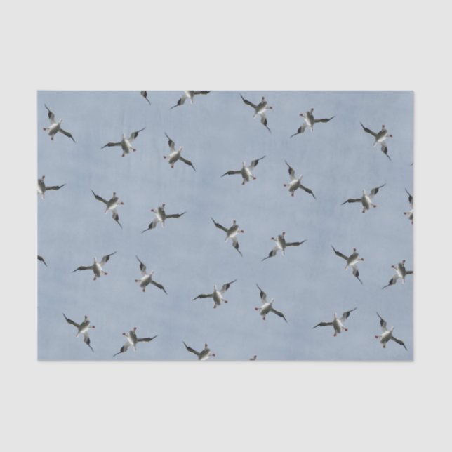Mousseline Pic Pelican - Papier Tissu (Recto)
