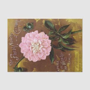 Mousseline Pink Dahlia sur le papier de tissus d'origine Brow