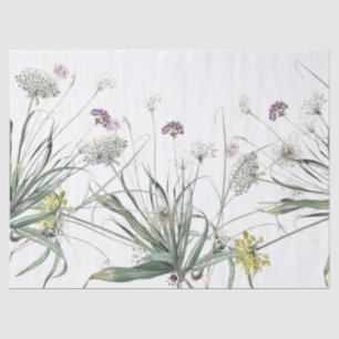 Mousseline Plante d'ampoule d'ail botanique Allium Papier de