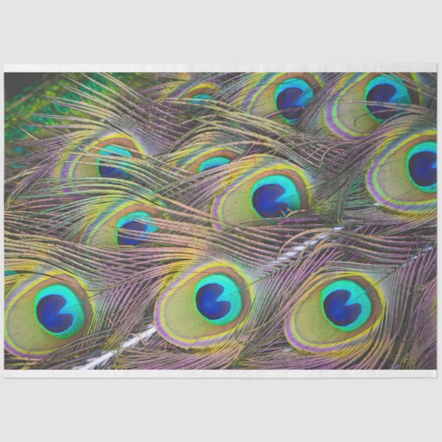 Mousseline Plumes de paon 1 papier de papier de découpage (Recto)