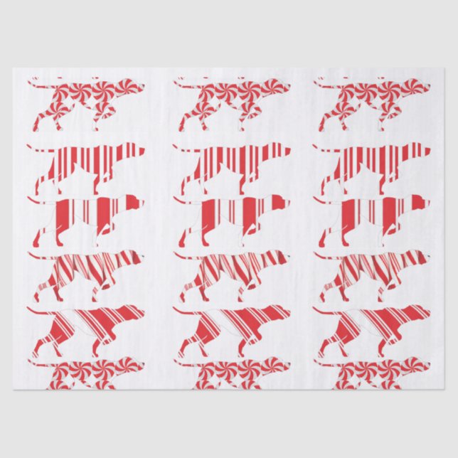Mousseline POINTEUR ALLEMAND À COURT TERME - Papier de tissus (Recto)