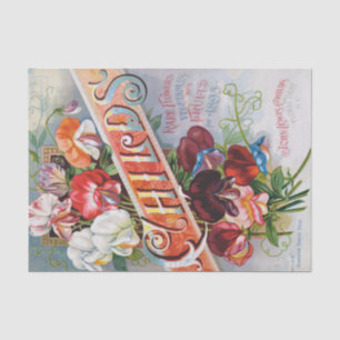 Mousseline Pois sucrés de 1895 Papier Tissu imprimé Vintage