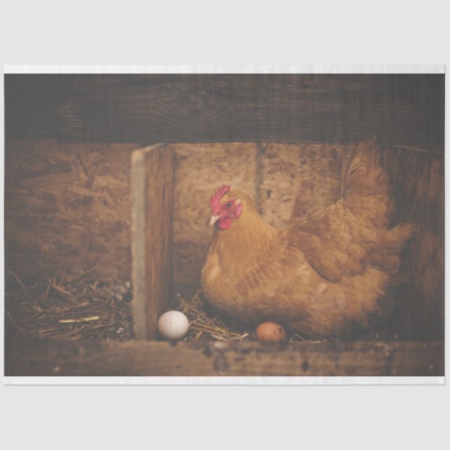 Mousseline Poulet Hen Oeuf Ferme de découpage Papier de tissu (Recto)