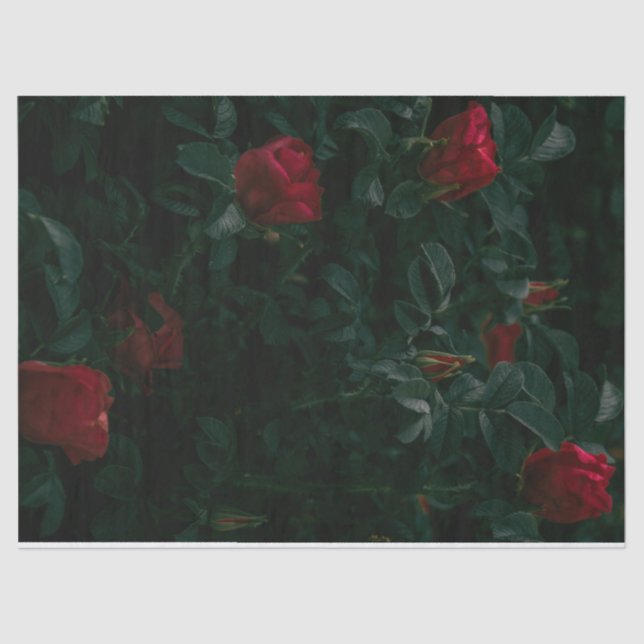 Mousseline Red Roses Tissu Papier Découpage Cadeau (Recto)