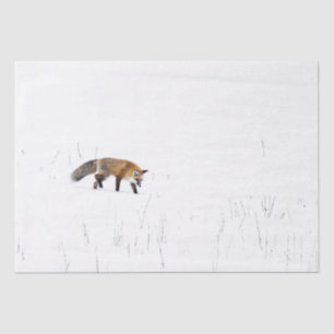 MOUSSELINE ROUGE FOX SUR PAPIER EN TISSU DE NEIGE