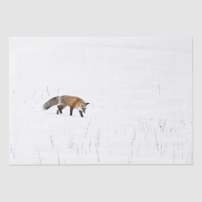 MOUSSELINE ROUGE FOX SUR PAPIER EN TISSU DE NEIGE (Recto)