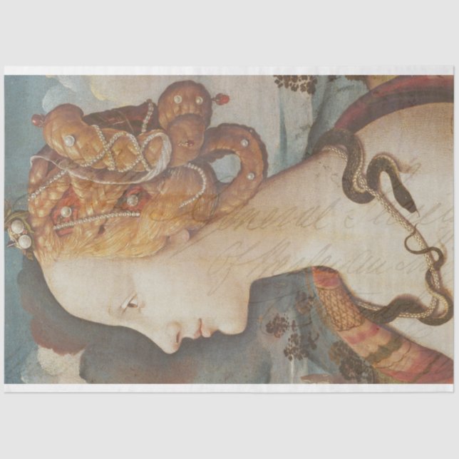 Mousseline Serpent Princes Mobilier Découpage Papier de tissu (Recto)