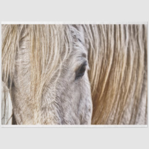 Mousseline tan grange papier tissu de cheval