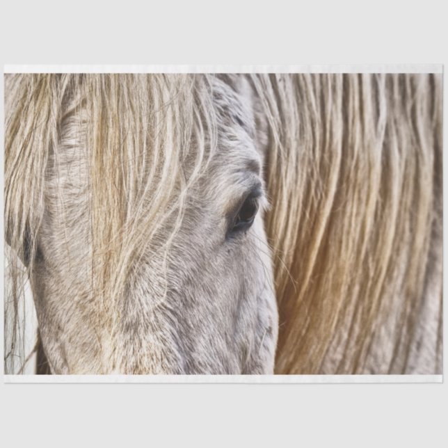 Mousseline tan grange papier tissu de cheval (Recto)