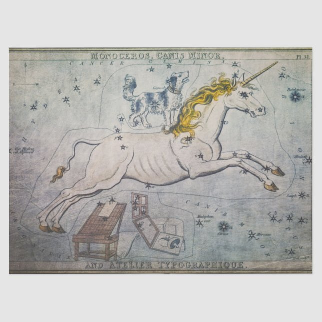 Mousseline Tissu Unicorne ou papier découpage (Recto)