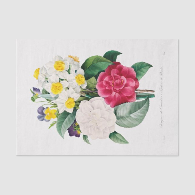 MOUSSELINE TISSUE PAPIER : CAMELLIA NARCISSUS & PANSY (Recto)