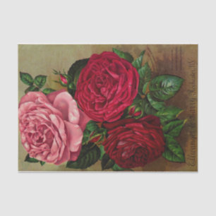Mousseline Trois Rose Catalogue de semences Papier papier