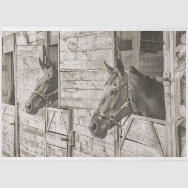 Mousseline vieux papier de tissu de chevaux stables (Recto)