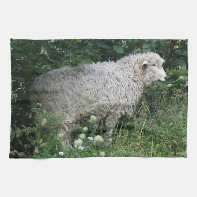 Mouton gourmand mignon mangeant un torchon de cuis (Horizontal)