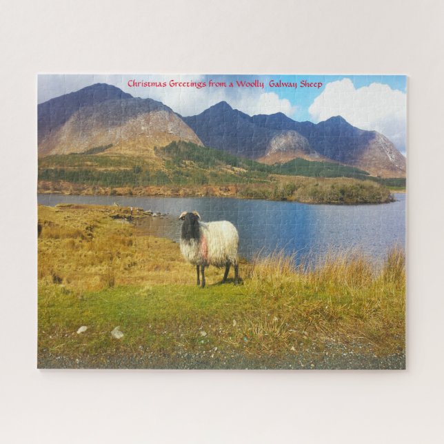 Mouton laineux irlandais Galway Irlande. Puzzle (Horizontal)
