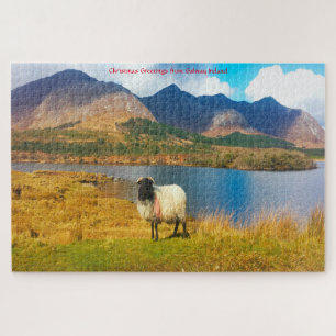 Mouton laineux irlandais Galway Irlande. Puzzle
