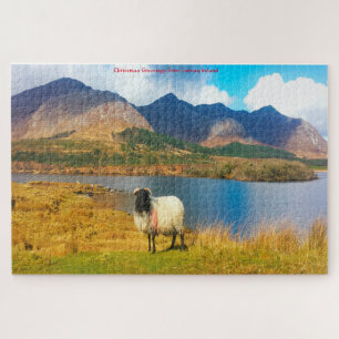 Mouton laineux irlandais Galway Irlande. Puzzle